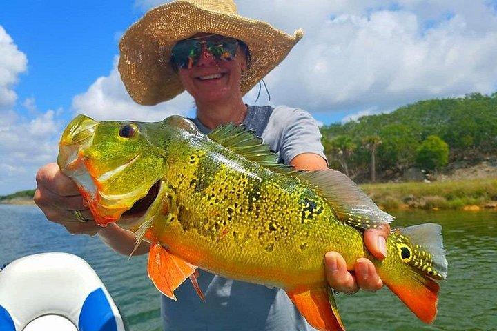 キーラルゴ近郊のプライベートクジャクバスフィッシングチャーター
