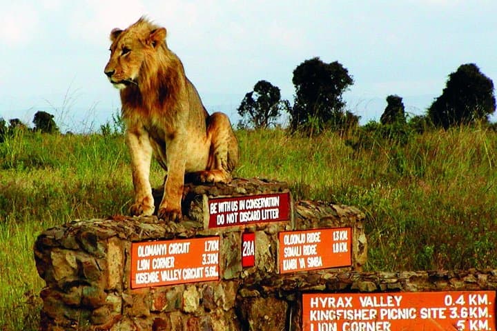 Nairobi National Park, Giraffe center & Beads Factory Guided Day Tour