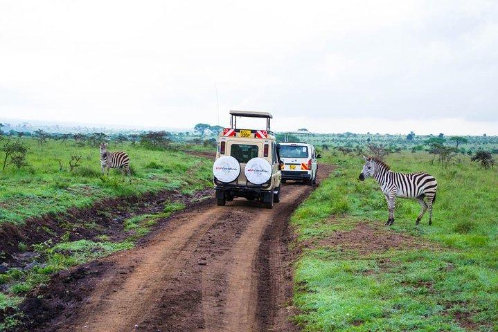 6 Days Samburu, Lake Nakuru & Masai Mara Safari on 4x4 Jeep