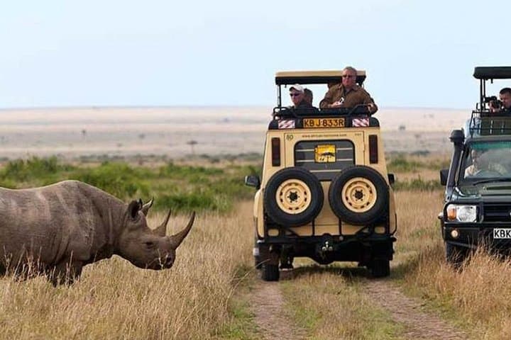Best 7 Days Kenya Adventure Wildlife Safari