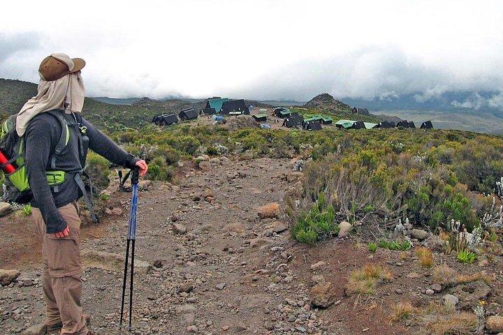 Kilimanjaro Climb Marangu Route 6 dagar