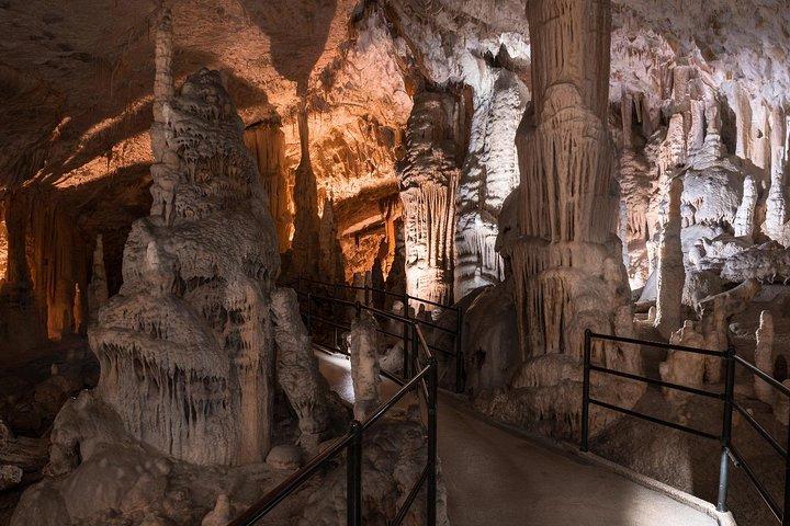 Halve dag tour naar Postojna grot - Privé tour vanuit Koper