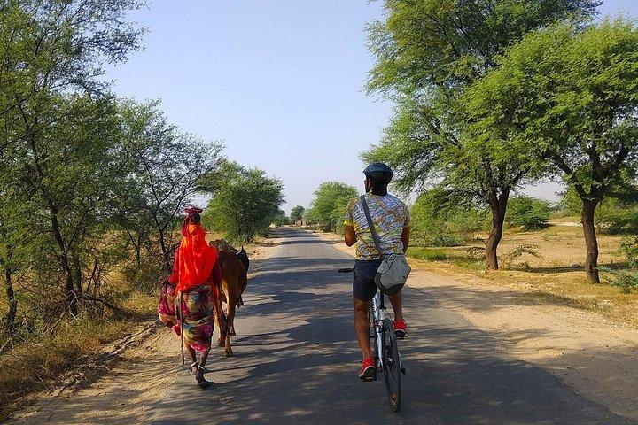 Delhi- Agra Long Distance Bicycle Trip