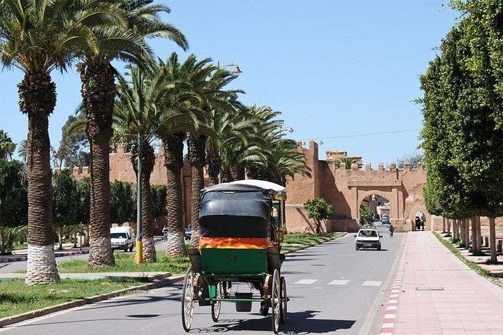 Marrakech day trip from Agadir guided full day trip