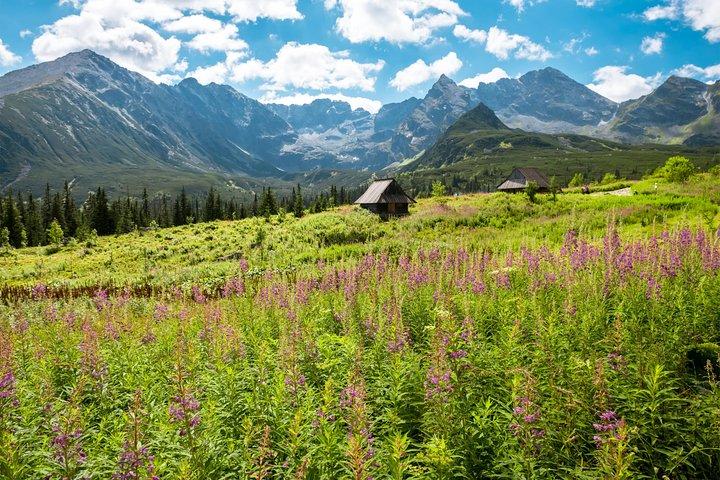 Zakopane & Tatra Mountains - Everyday Tour från Krakow