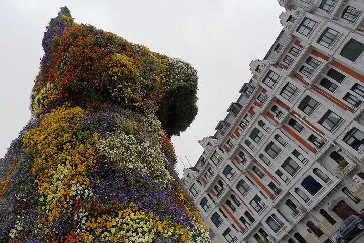 Visita privada a Bilbao e Museu Guggenheim