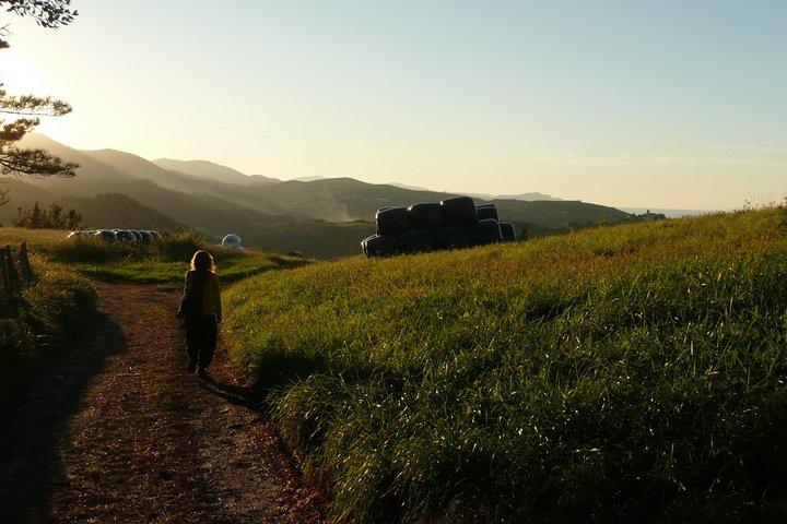 Camino de Santiago trail. Privat vandringstur längs kusten