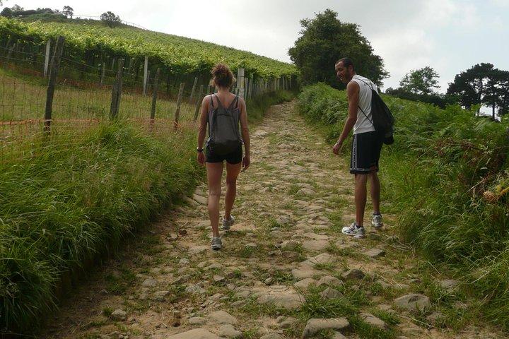 Camino de Santiago trail. Privat vandringstur längs kusten
