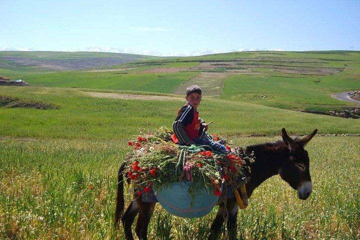 Dagtrip naar Ouzoud Watervallen vanuit Marrakech