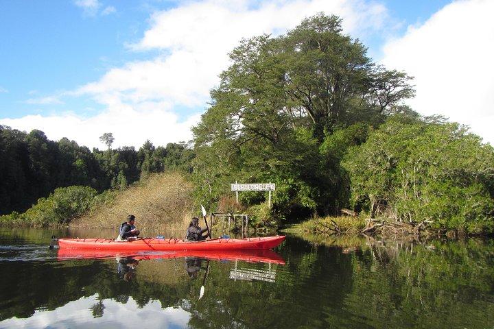 Kayak Laguna La Poza 1/2 dia