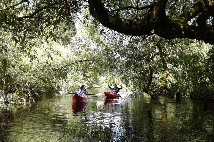 Kayak Laguna La Poza 1/2 dia