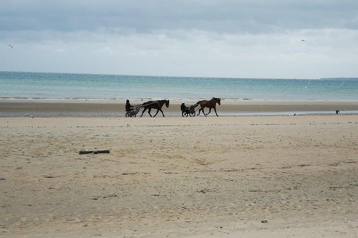 Excursion d'une demi-journée sur les plages normandes au départ de Bayeux (A2)