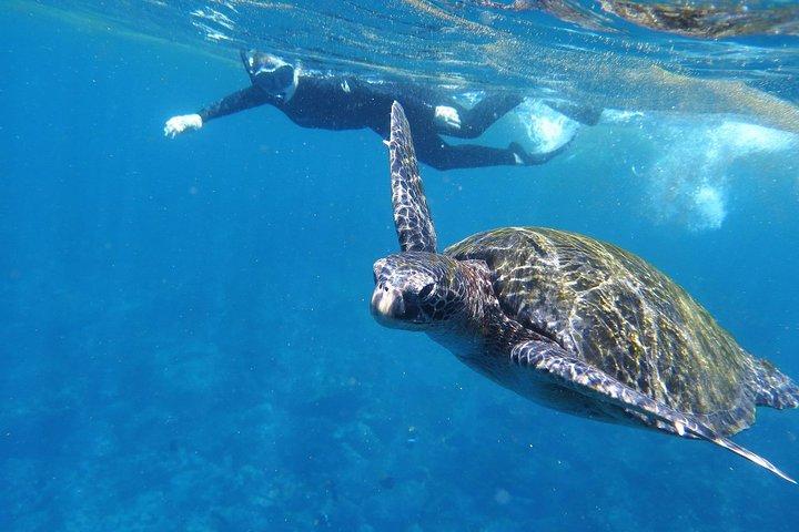 シュノーケリングと釣りを楽しめるサンタフェ島とヒドゥン ビーチへの日帰りツアー