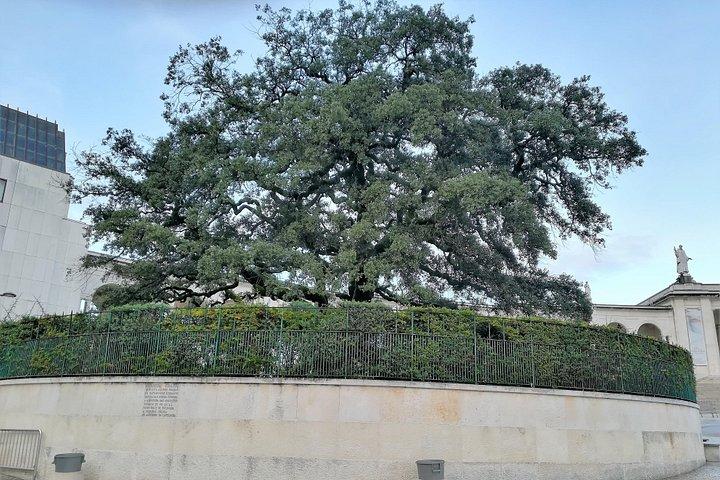 Fatima Day Tour from Algarve