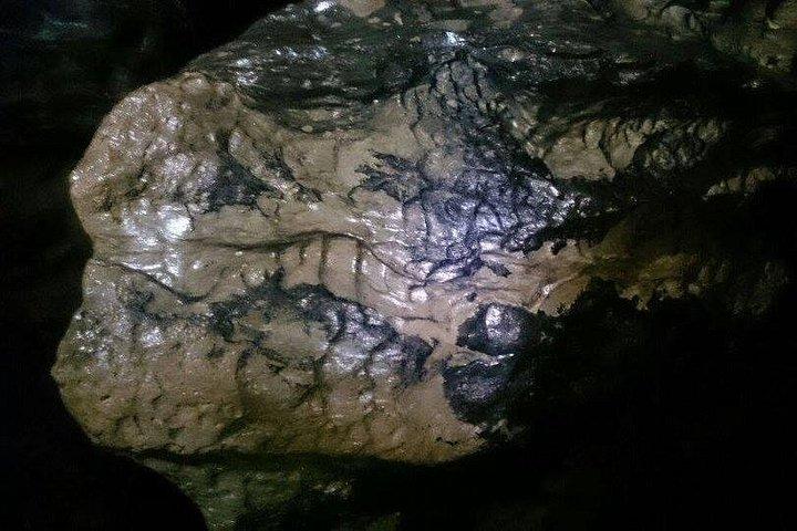Los Tayos Cave + Mysterious Caverns + Light Wells One Day