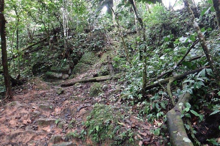 Los Tayos Cave + Mysterious Caverns + Light Wells One Day