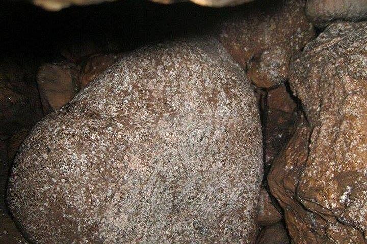Los Tayos Cave + Mysterious Caverns + Light Wells One Day