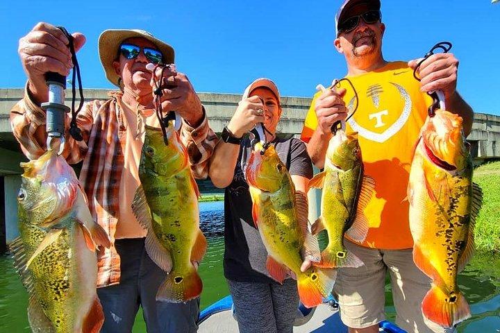 Private Peacock Bass Fishing Charter perto de Boca Raton