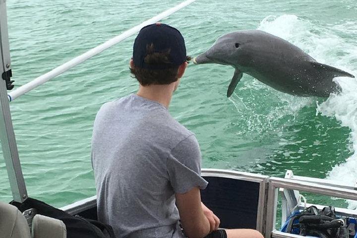 Crociera dei delfini di 2 ore per piccoli gruppi con snorkeling a Shell Key