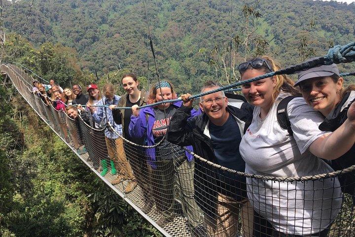 2 dagars schimpansvandring - Nyungwe nationalpark