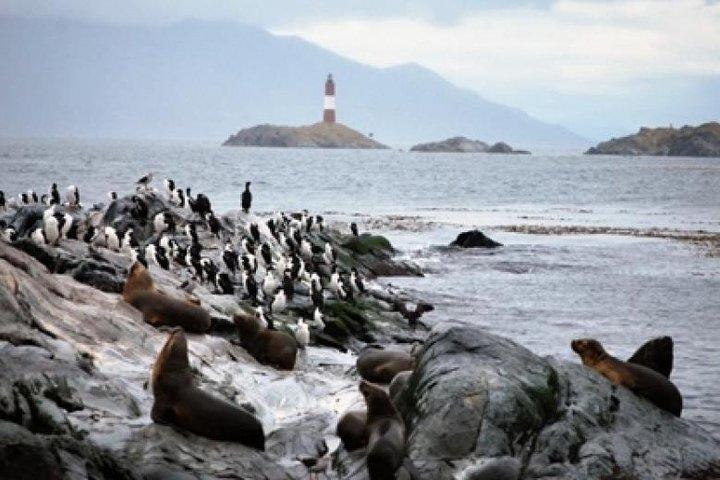 Navigationskanal Beagle Pinguinera