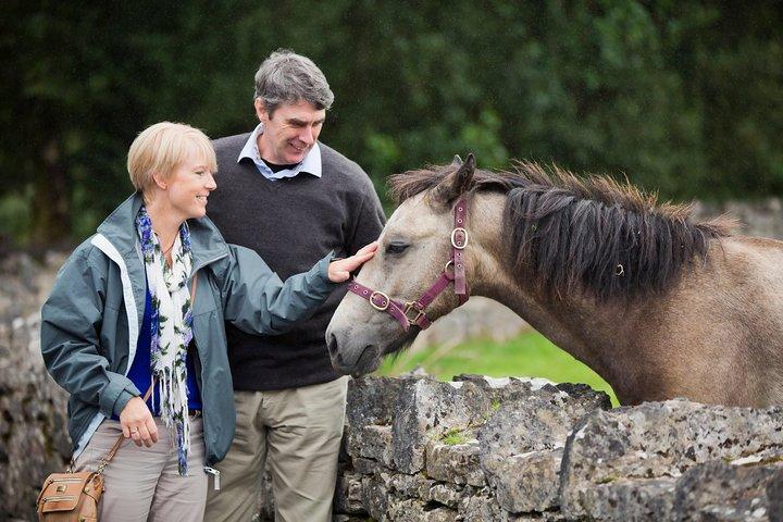 Excursão privada de meio dia a Connemara