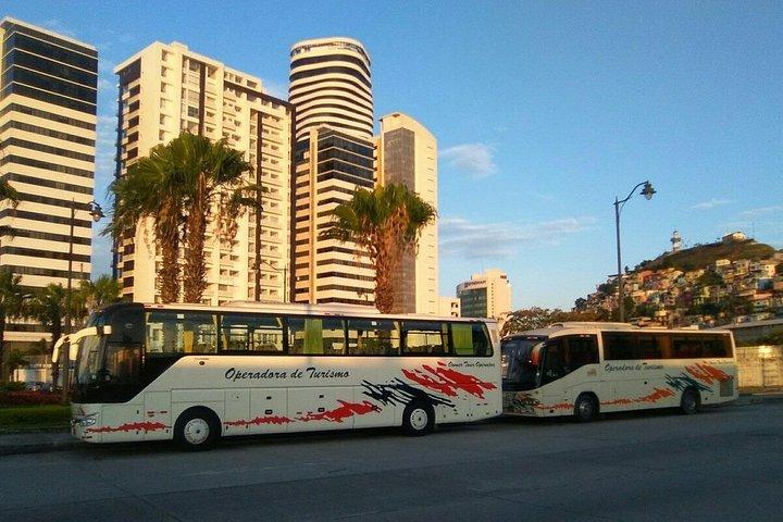 Shuttle airport - downton hotels or return