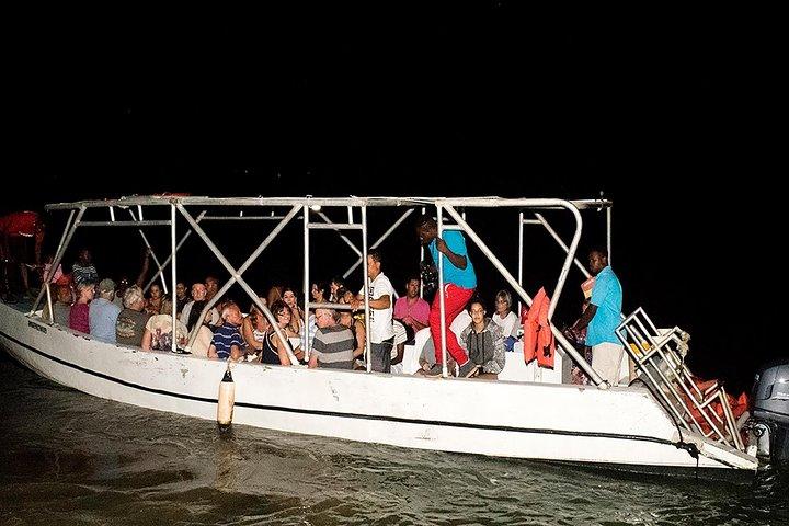 Jamaica Super Saver: Montego Bay & Rose Hall plus Mystic Lagoon Night Cruise
