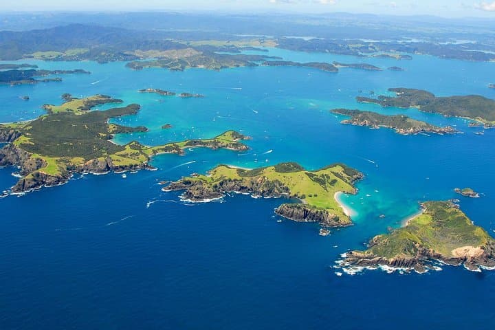 Group tour to Bay of Islands return from Auckland