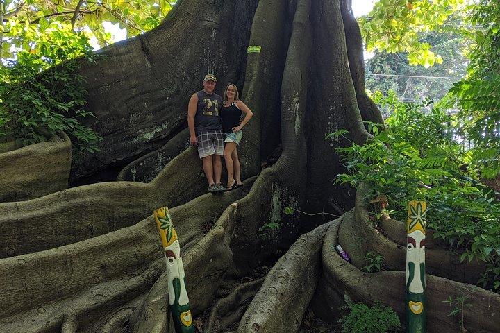 Visite privée des hauts lieux d'Ocho Rios
