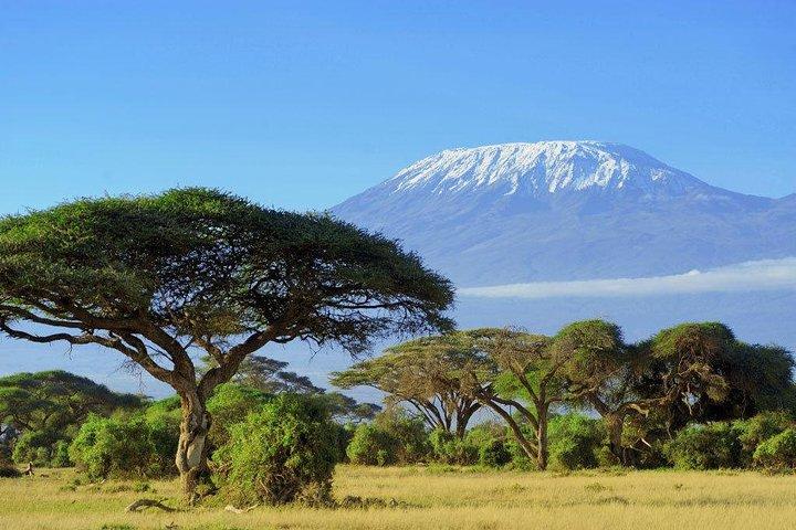 3 Days Tsavo West (Ziwani) & Amboseli (Kilimanjaro) Adventure
