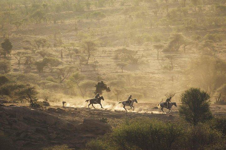Safari fotografico della Pantera Nera