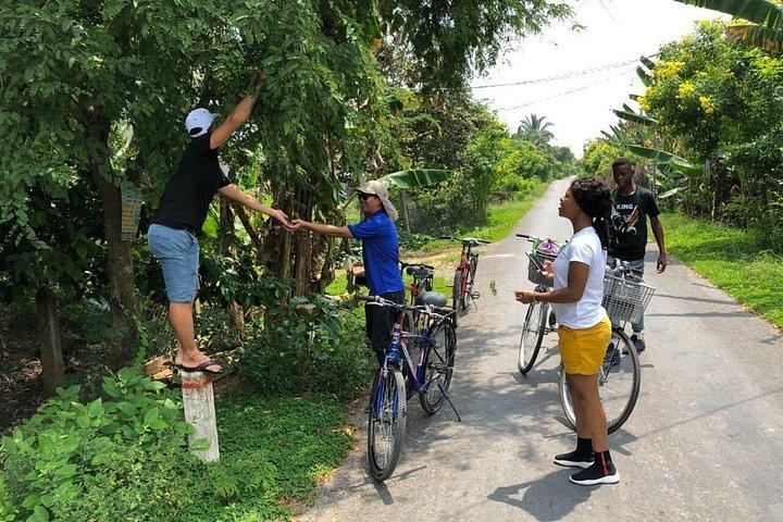 サイゴン発：タンフォン島とサイクリング付きプライベートカイベツアー