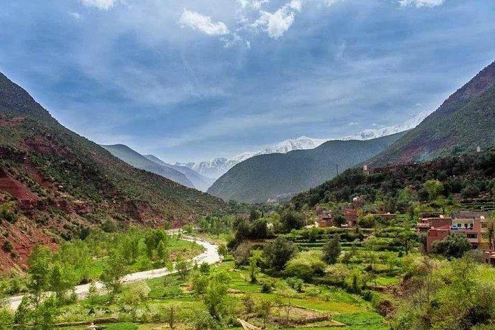 共有グループAtlas Berber Life Ourika Valley One Day