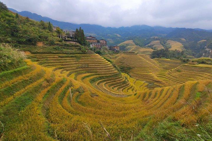 Yangshuo Xianggong Hill Sunrise und Longji Rice Terraces Private Tagestour
