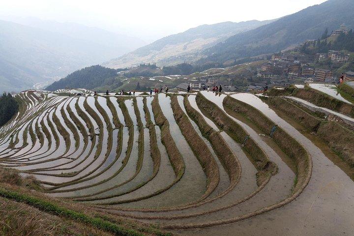 Guilin Teplantage og Longji Rice Terraces Day Tour fra Guilin hotel
