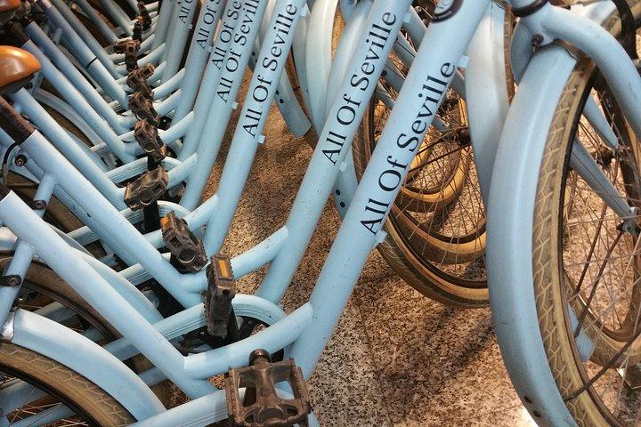 Tour monumentale del tour privato in bici di Siviglia