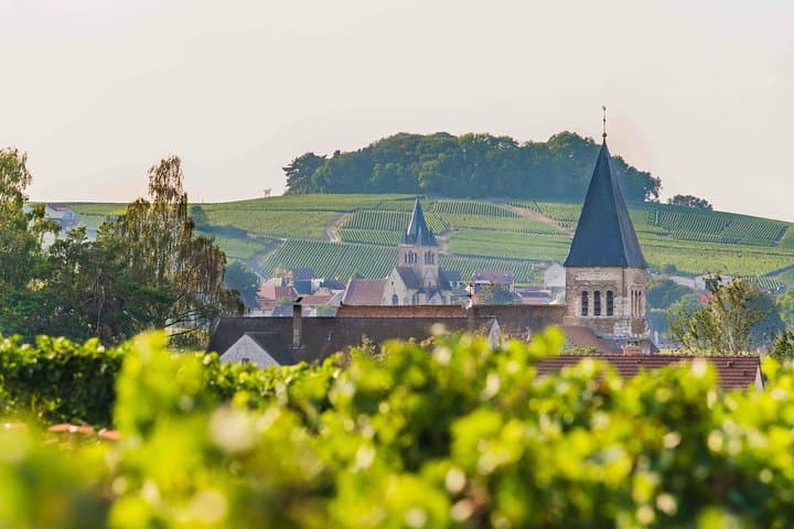 Private tour of the Champagne area, meet local producers and taste their Champagne, start from your hotel in Paris.