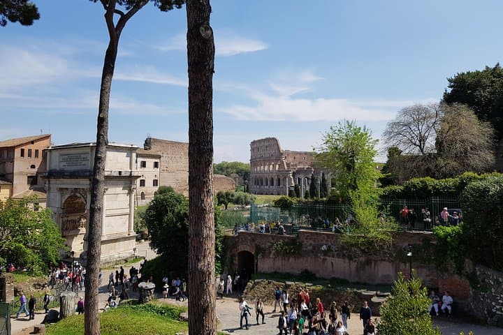 Colosseum Arena Floor, Roman Forum and Palatine Hill Tour