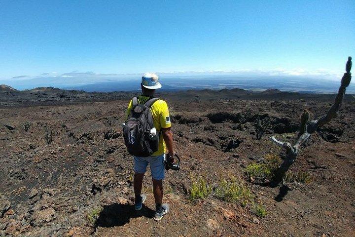 Visite à pied du volcan Sierra Negra et du volcan Chico depuis l'île Isabela