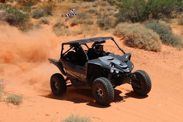 Scenic Valley of Fire 2 - Tour en UTV en persona en Las Vegas