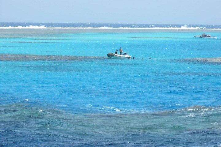 Abu Dabbab Beach fuld dag fra Hurghada