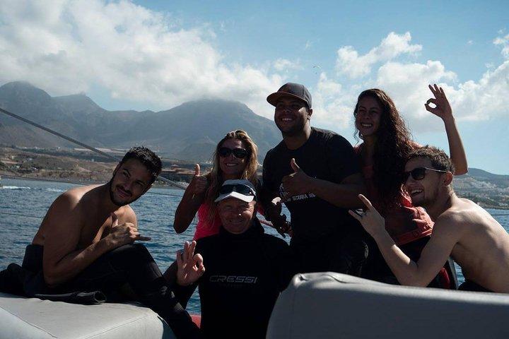 Western Tenerife Cliffs Cruise with Lunch and Open Bar