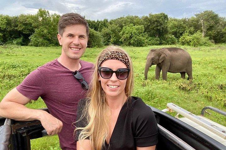 Safari privato in jeep del parco nazionale di Minneriya da Habarana