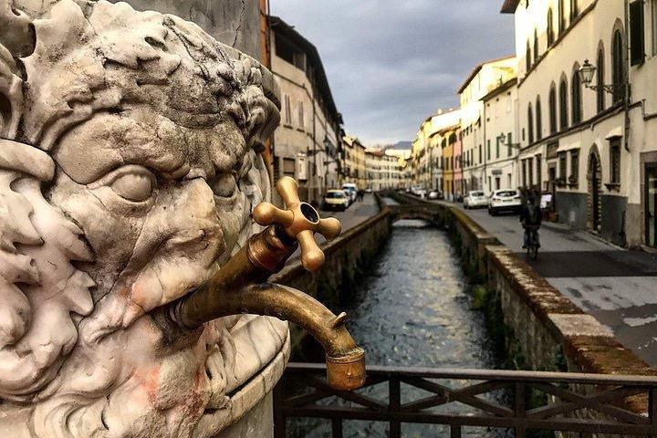 Privat tur: Pisa og Lucca fra Firenze