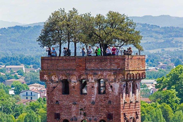 Privétour: Pisa en Lucca vanuit Florence