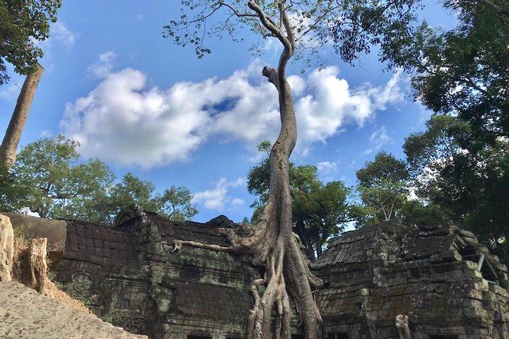 Angkor Temples Highlights: 2-Day Private Tour with Sunrise