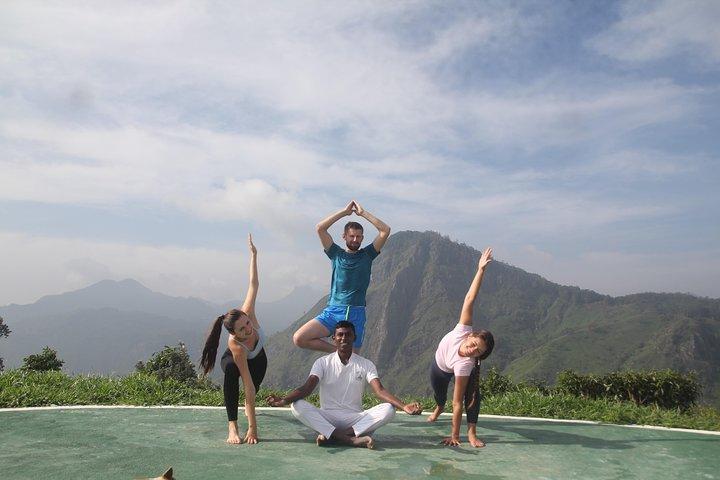 Yoga do Sri Lanka para o seu corpo e mente com nossos treinadores de yoga do Sri Lanka.