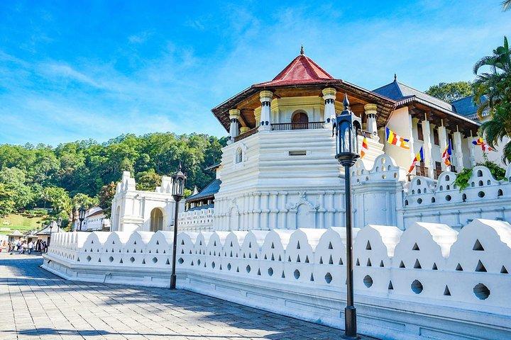 Tour di un giorno a Kandy da Kalutara e Wadduwa Hotel