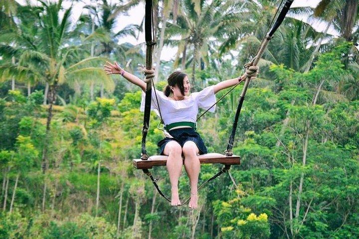 Tour privado de Bali Ubud con conductor de Ubud Bali - WIFI GRATUITO